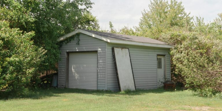 A quaint backyard shed nestled among leafy trees under a clear blue sky, creating a serene outdoor setting.